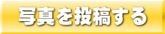 写真投稿